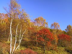 photo-20021014-2