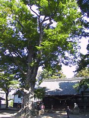photo-20021014-5