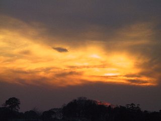 photo-030113-4