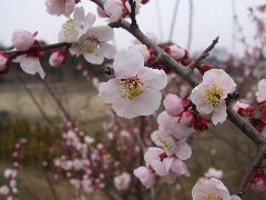 photo-030316-3