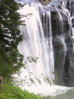 photo-1005-2