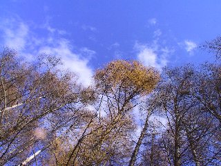 青空