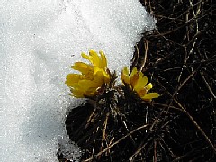 photo-040327-1