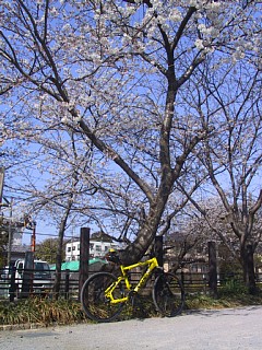 photo-040328-3