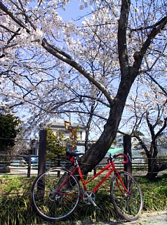 photo-040328-4