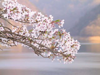 奥多摩湖