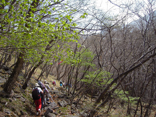 photo-040508-1