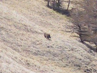 photo-040508-3