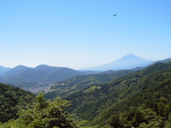 photo-040606-3