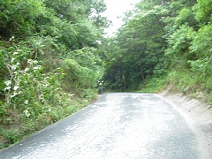 photo-040626-4