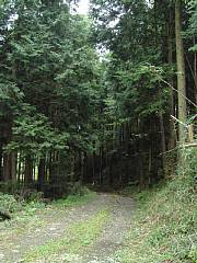 旧・甲州街道