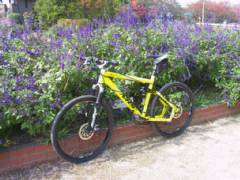 Photo2