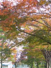 photo1