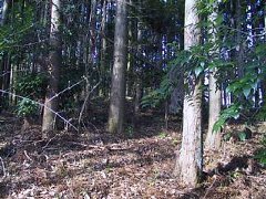 photo-041219-2