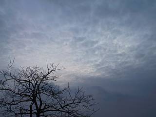 photo-041219-7