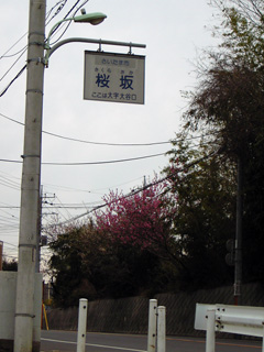 photo-050320-5