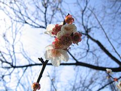 photo-050327-2