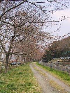 photo-050403-3
