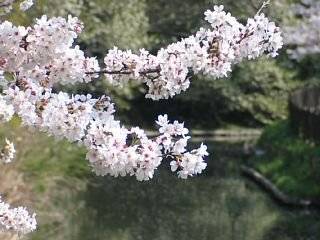 photo-050409-7