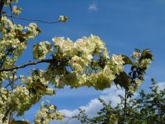 photo-050423-3