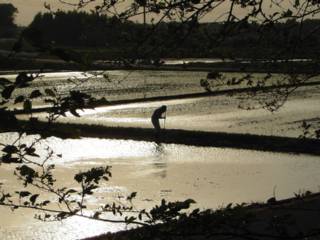 photo-05043-3