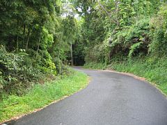 photo-050515-4