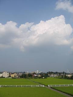 photo-050814-1