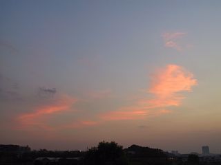photo-050917-3