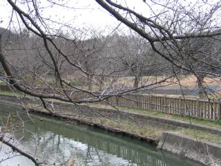 photo-060318-4
