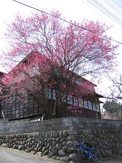 photo-d060321-1