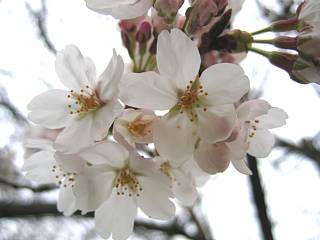 Photo-060326