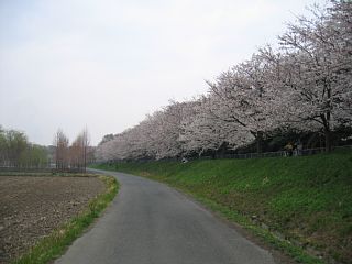photo-060402-2