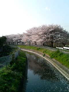 photo-060408-1