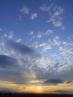 photo-060905-1