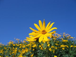 photo-060924-4