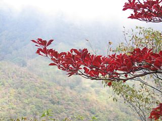 photo-060930-2