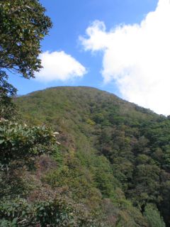 photo-060930-3