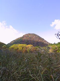 photo-061021-1