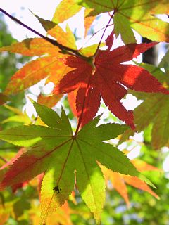 photo-061021-3