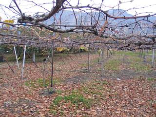 photo-061119-2