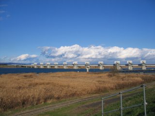 photo-061210-1