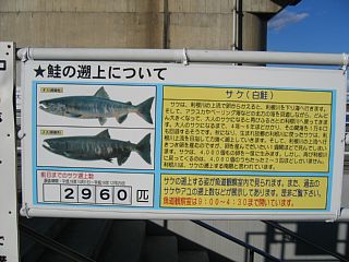 photo-061210-2