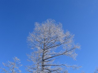 photo-070204-2