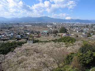 photo-070211-2