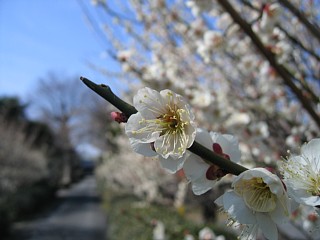 photo-070225-1