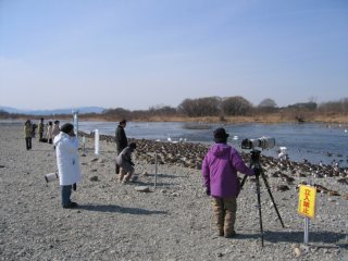 photo-070225-3