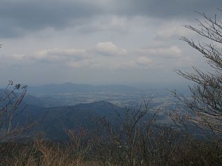 photo-070310-1