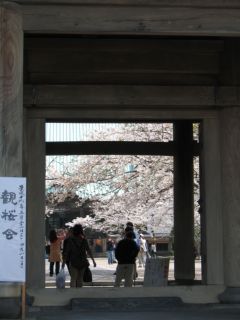 photo-070401-3