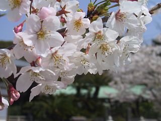 photo-070401-4