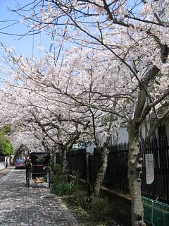 photo-070401-7